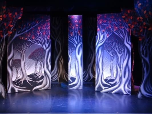 The Elves and the Shoemaker